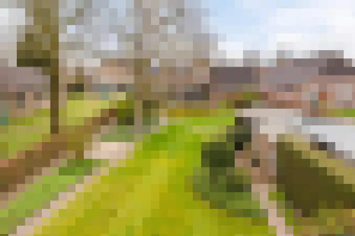 Laagstraat 12 Haren thumbnail 47