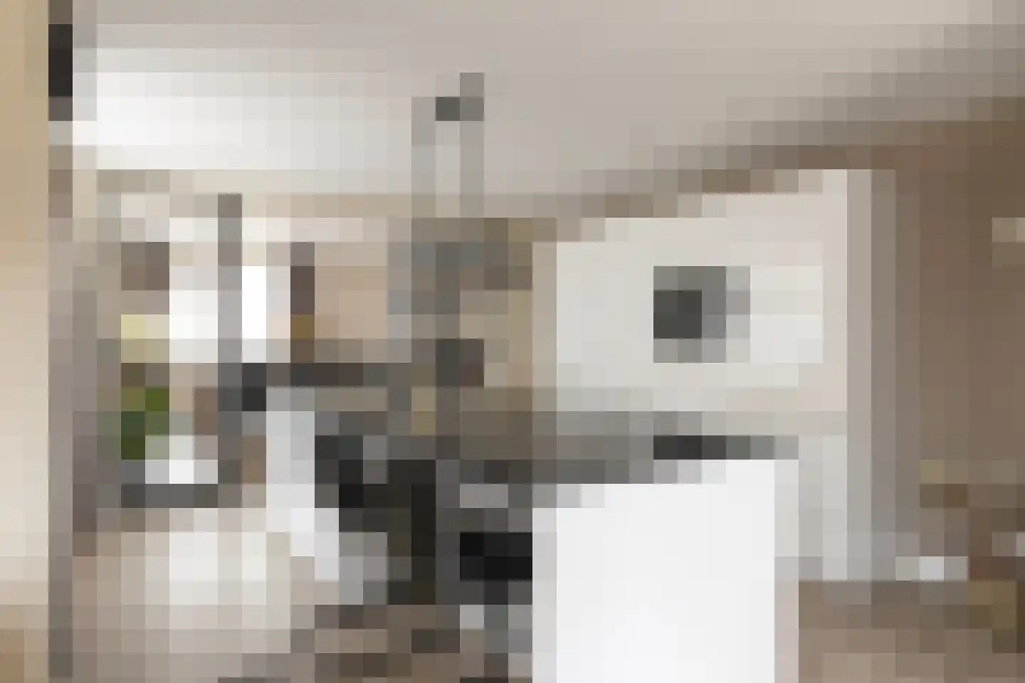 Laagstraat 12 Haren thumbnail 6