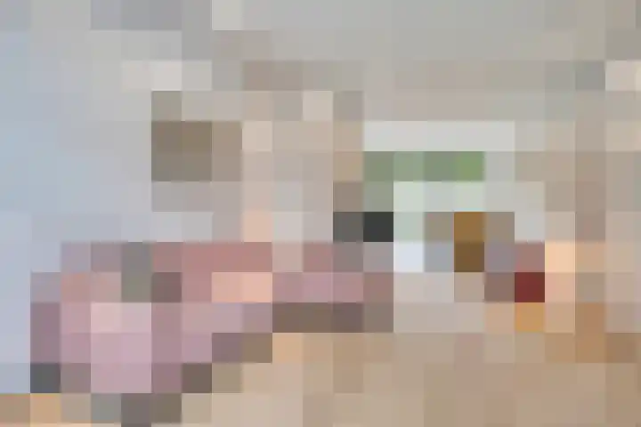 Laagstraat 267 Eindhoven thumbnail 11