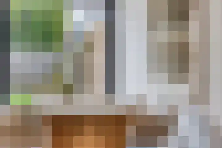 Laagstraat 267 Eindhoven thumbnail 16
