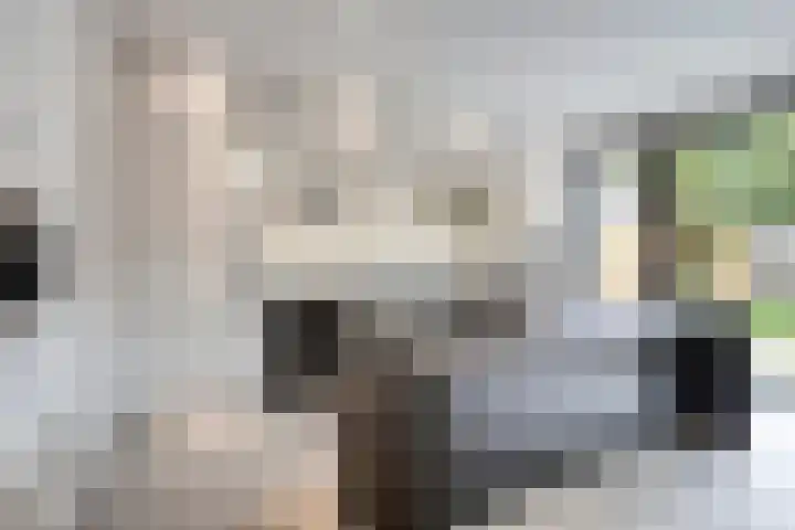 Laagstraat 267 Eindhoven thumbnail 18