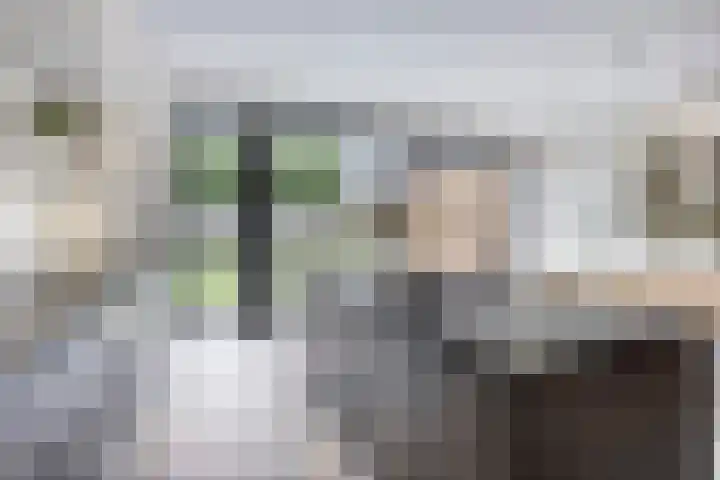 Laagstraat 267 Eindhoven thumbnail 19