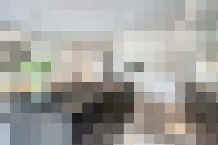 Laagstraat 267 Eindhoven thumbnail 20