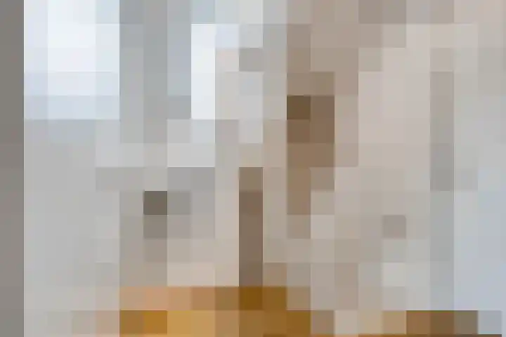 Laagstraat 267 Eindhoven thumbnail 21