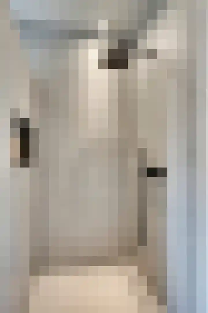 Laagstraat 267 Eindhoven thumbnail 27