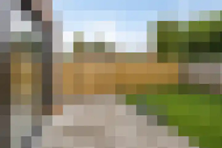 Laagstraat 267 Eindhoven thumbnail 33