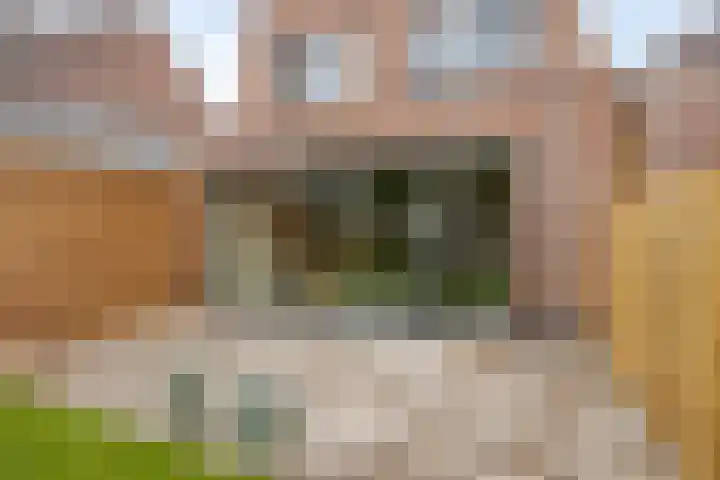 Laagstraat 267 Eindhoven thumbnail 35