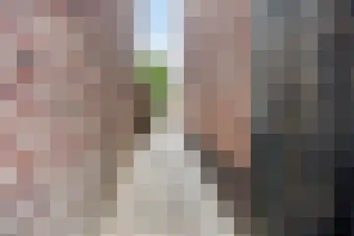 Laagstraat 267 Eindhoven thumbnail 38