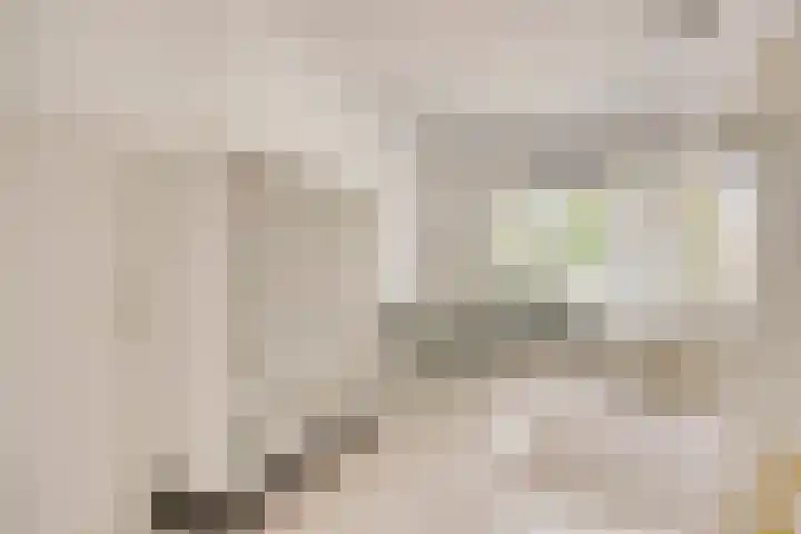 Laagstraat 280 A Eindhoven thumbnail 11