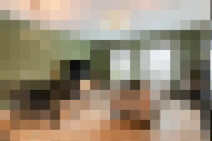 Laagstraat 280 Eindhoven thumbnail 6
