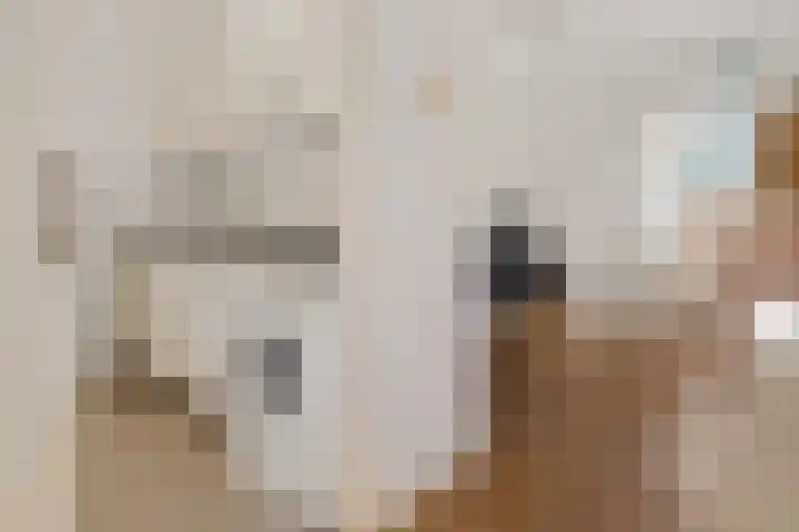 Laagstraat 282 Eindhoven thumbnail 23