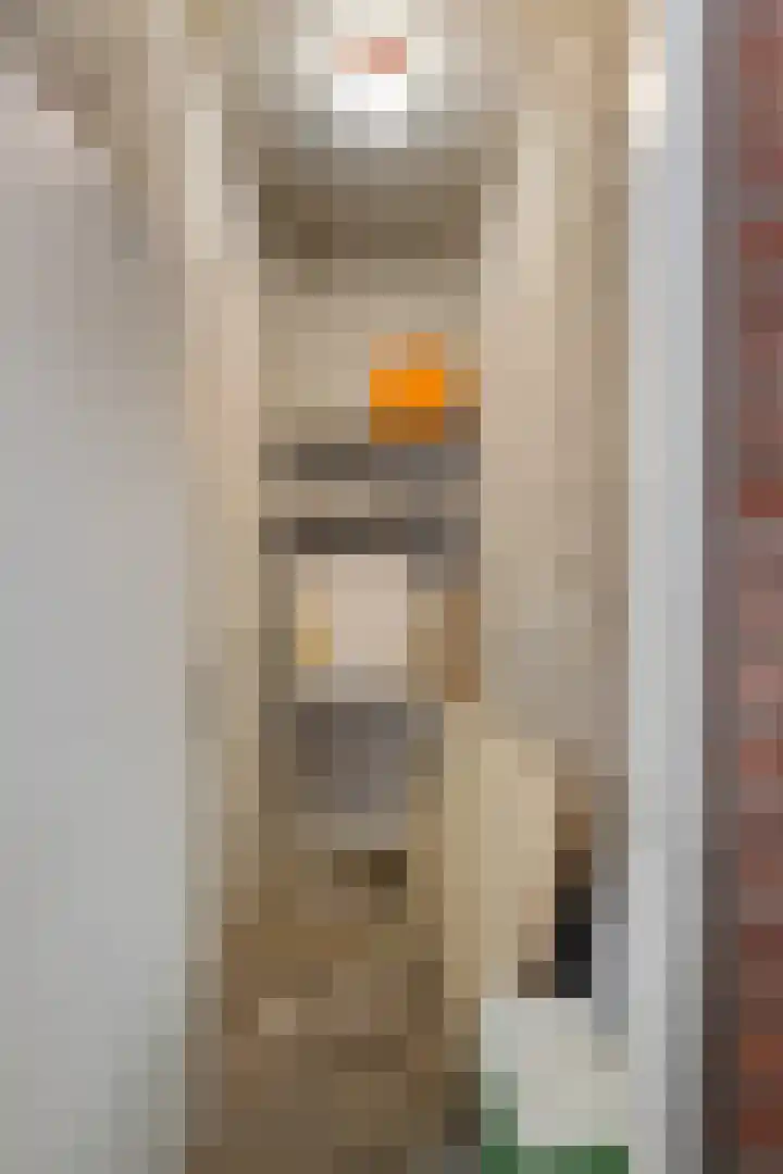 Laagstraat 282 Eindhoven thumbnail 39