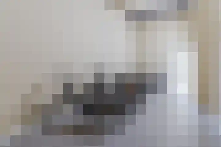 Laagstraat 286 Eindhoven thumbnail 26