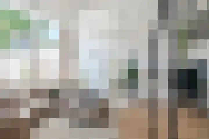 Laagstraat 286 F Eindhoven thumbnail 13