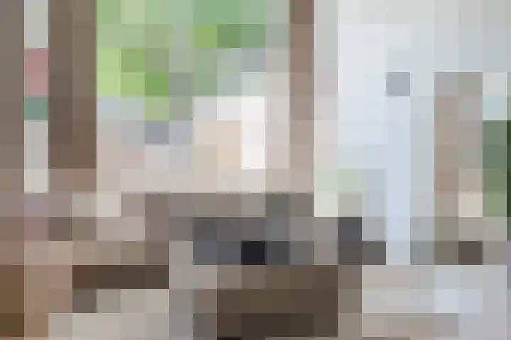 Laagstraat 286 F Eindhoven thumbnail 14