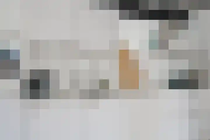 Laagstraat 286 F Eindhoven thumbnail 19