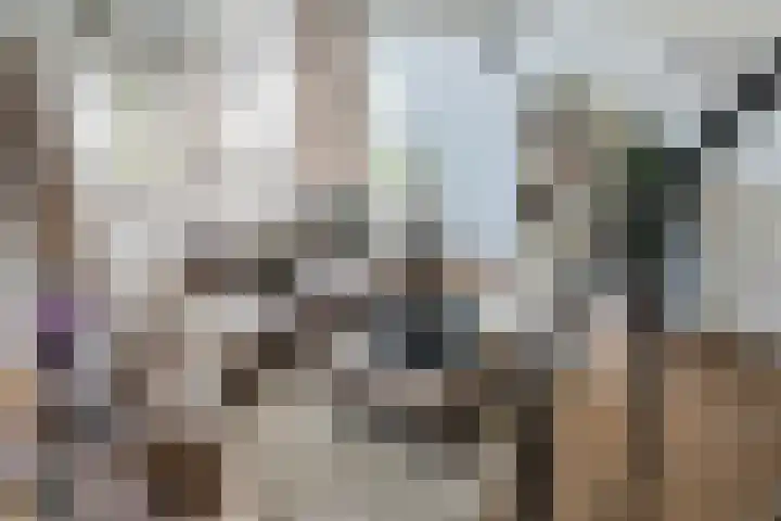 Laagstraat 286 F Eindhoven thumbnail 25