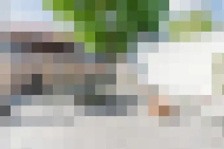 Laagstraat 286 F Eindhoven thumbnail 28