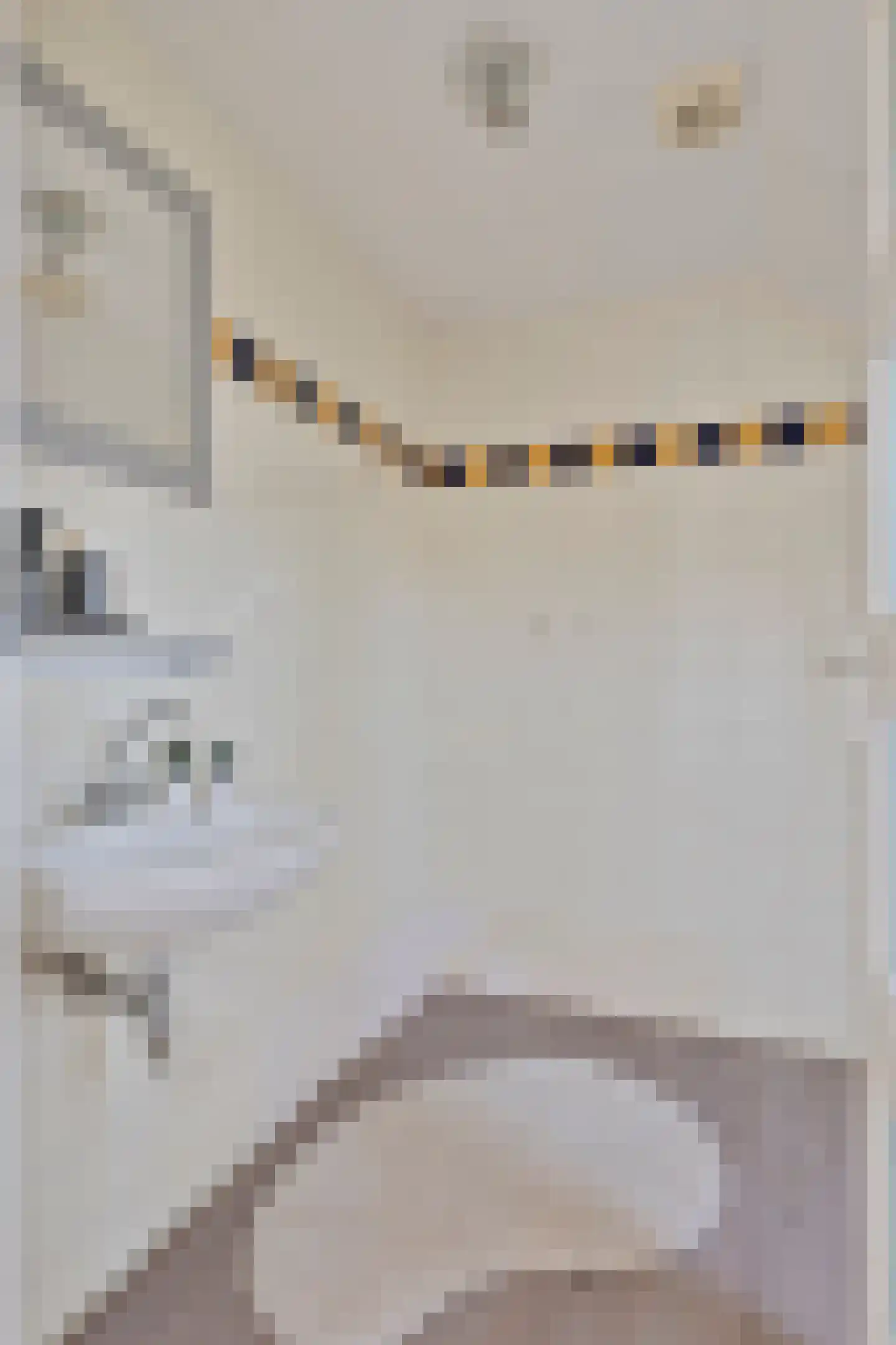Laagstraat 294 Eindhoven thumbnail 31