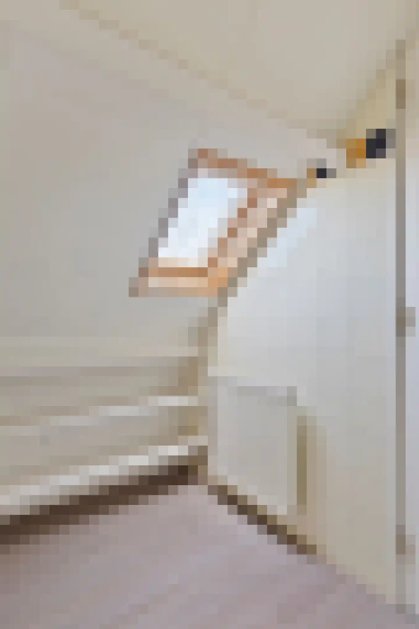 Laagstraat 294 Eindhoven thumbnail 32