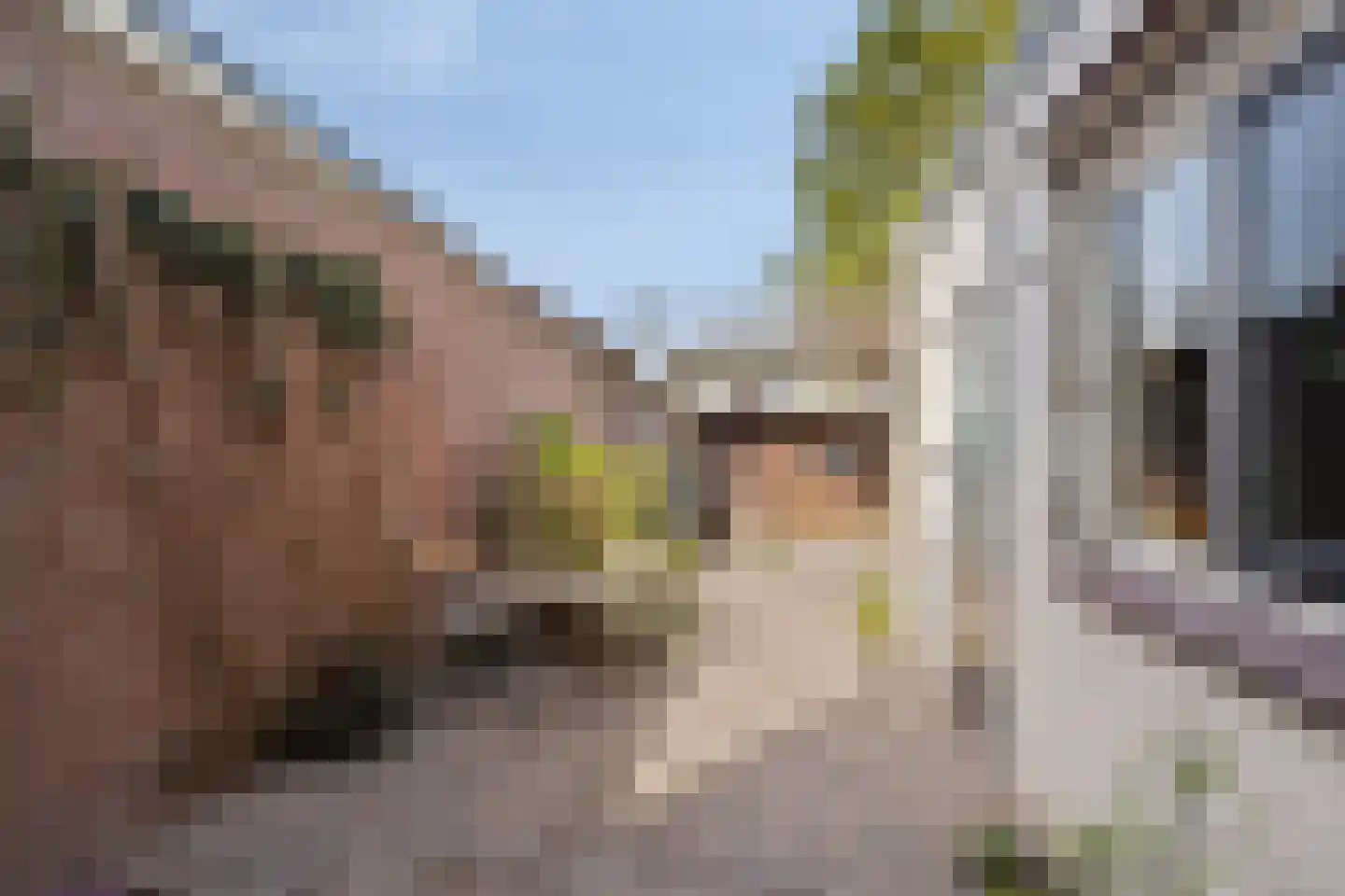 Laagstraat 294 Eindhoven thumbnail 33