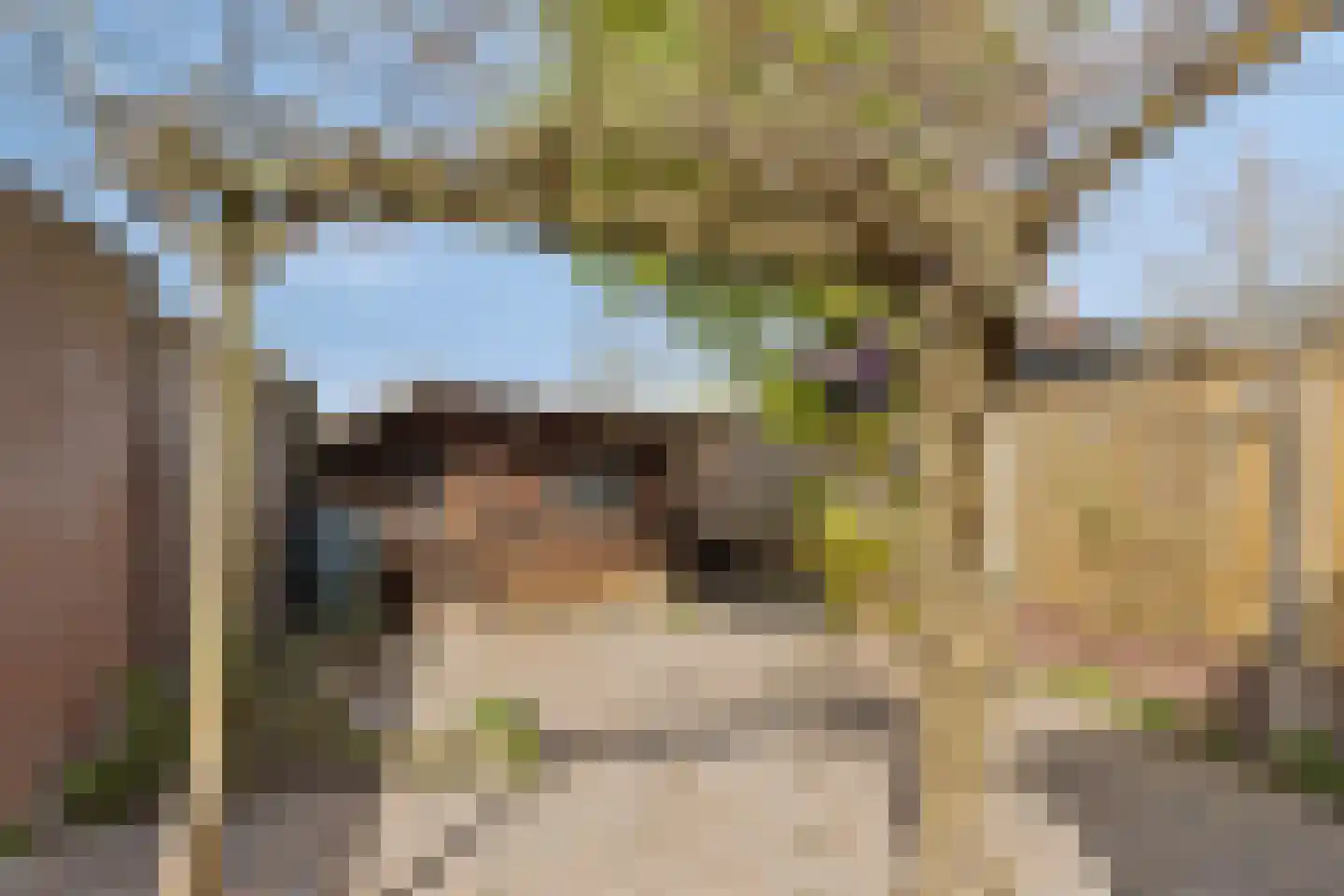 Laagstraat 294 Eindhoven thumbnail 33