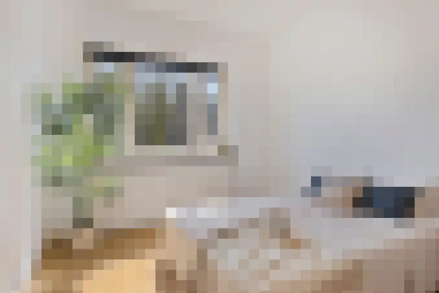 Laagstraat 294 Eindhoven thumbnail 4