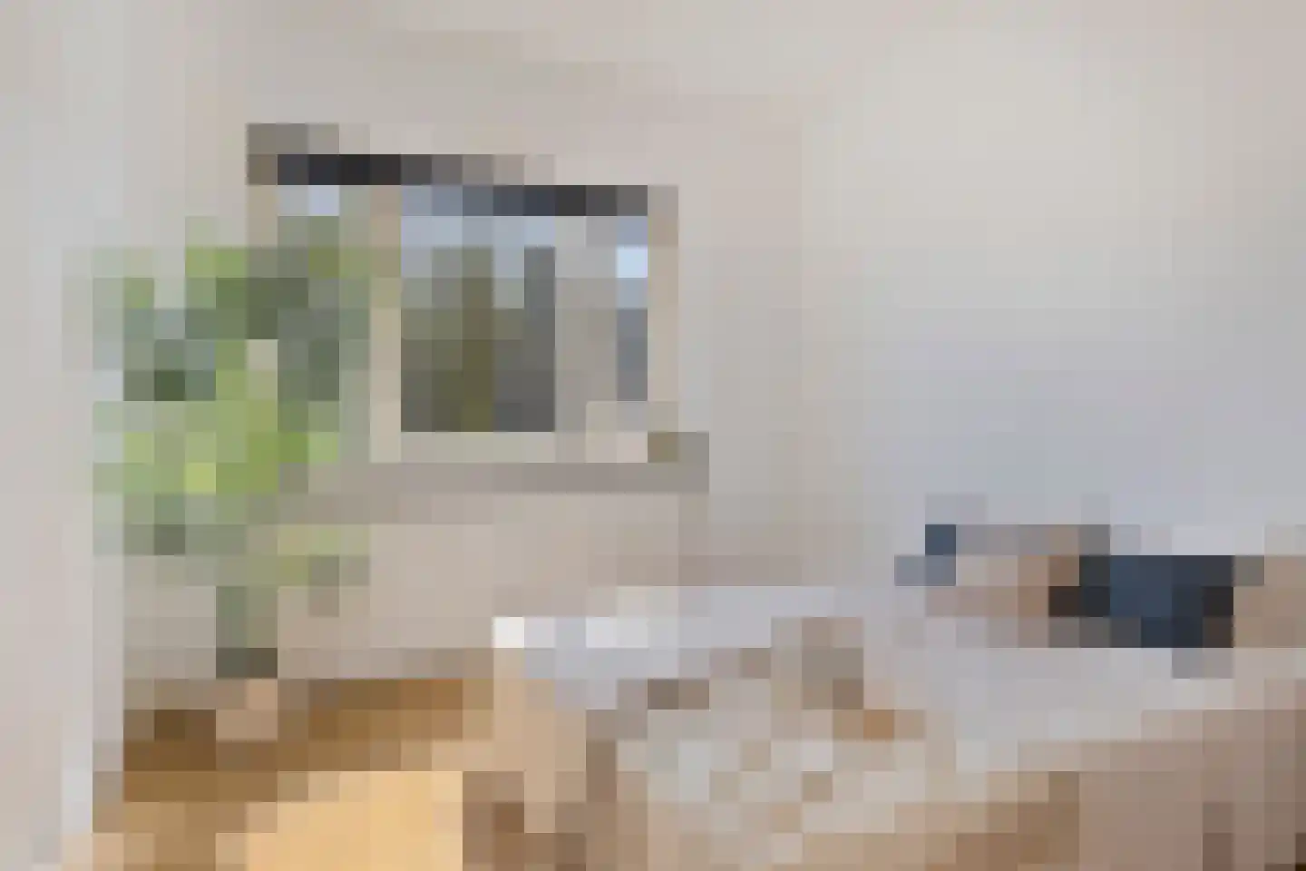 Laagstraat 294 Eindhoven thumbnail 5