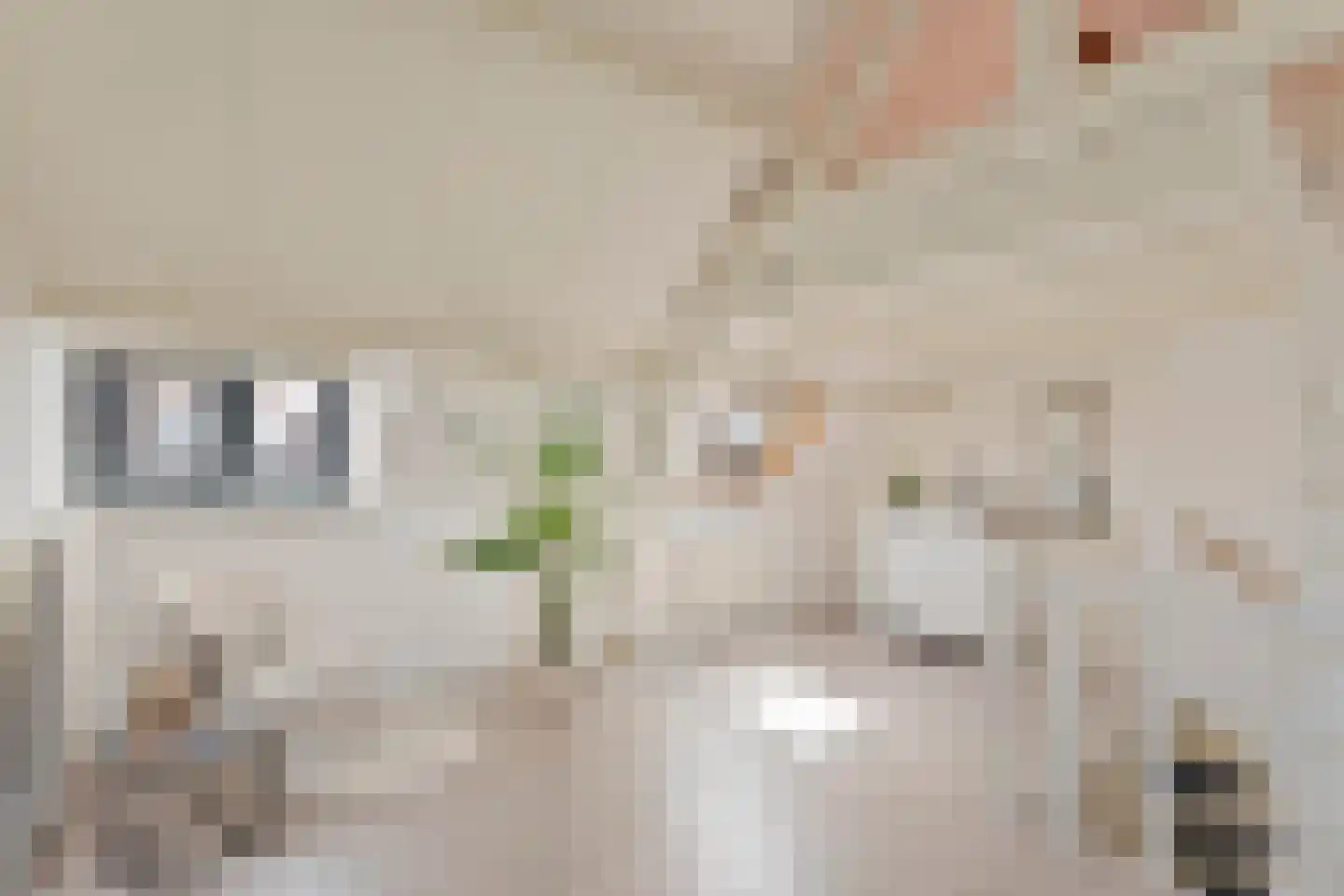Laagstraat 294 Eindhoven thumbnail 6