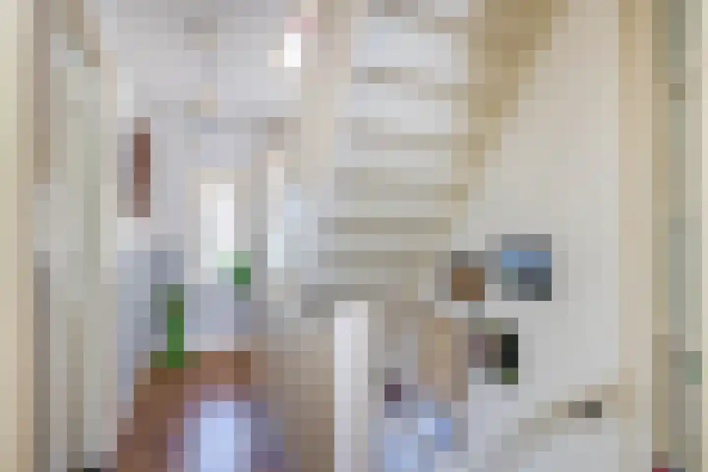 Laagstraat 311 Eindhoven thumbnail 21