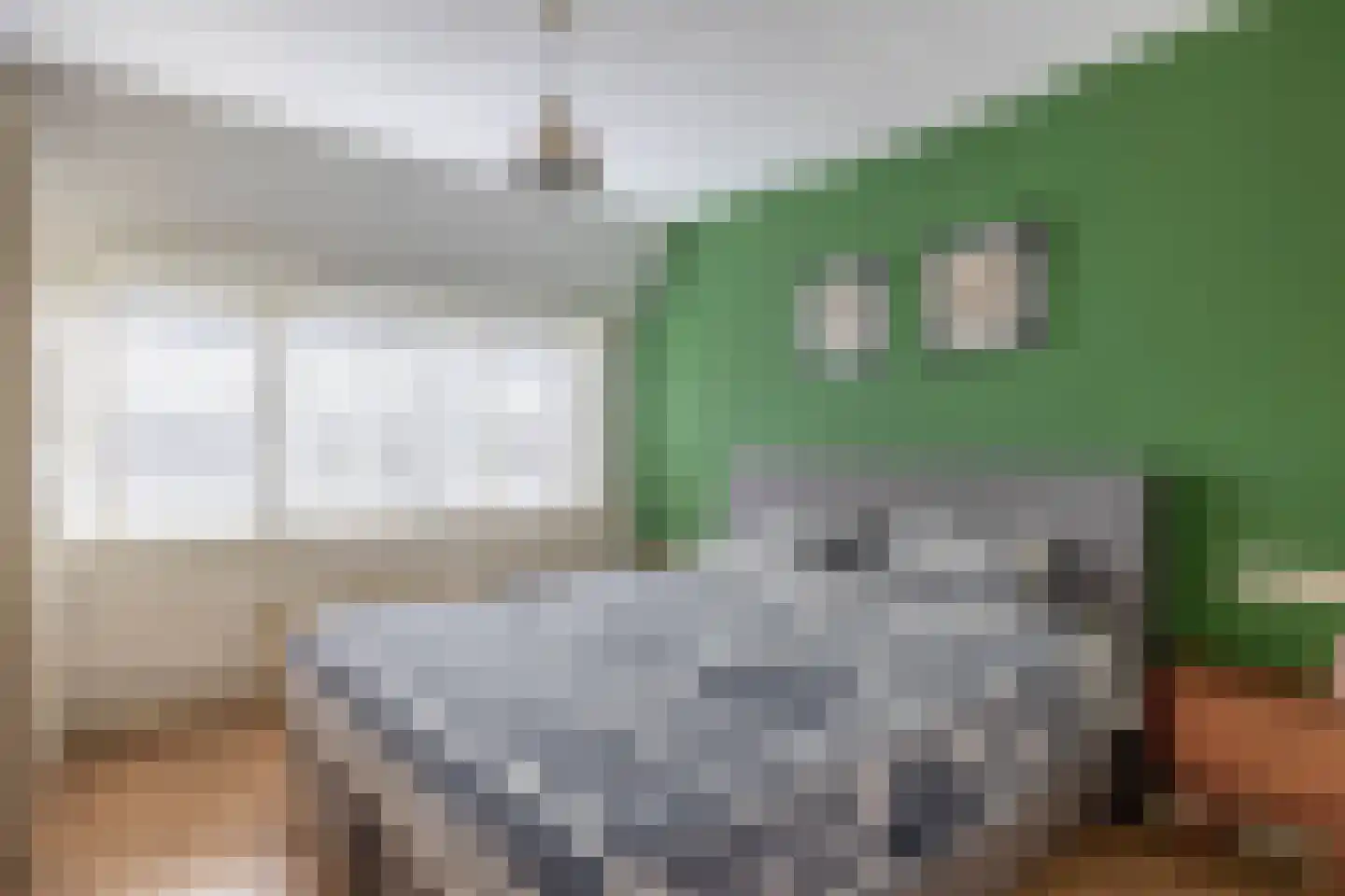 Laagstraat 311 Eindhoven thumbnail 22