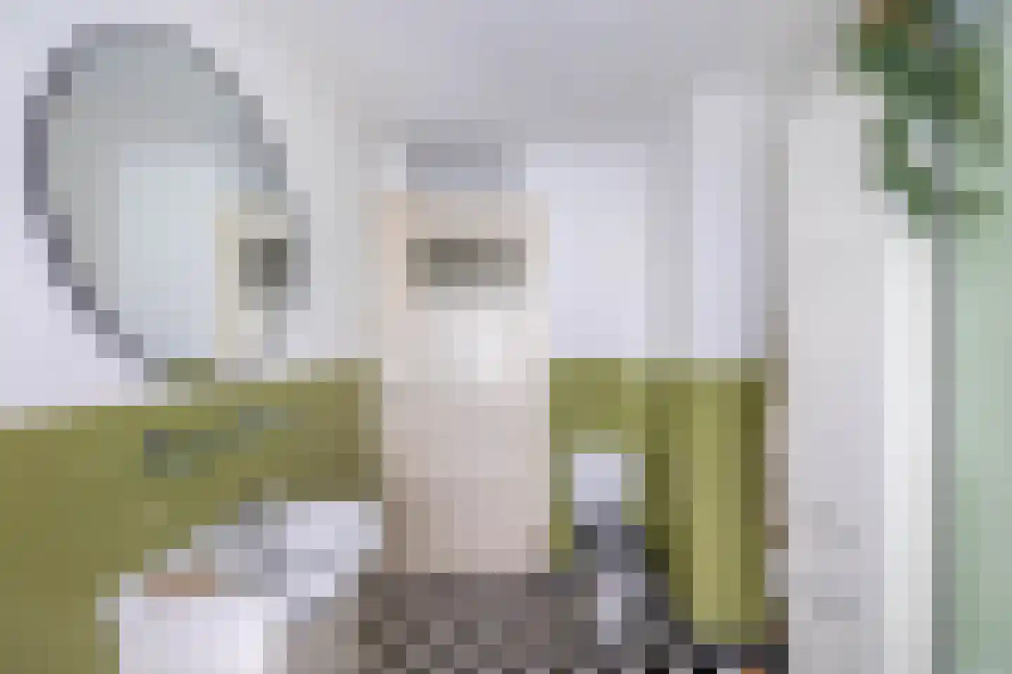 Laagstraat 311 Eindhoven thumbnail 27