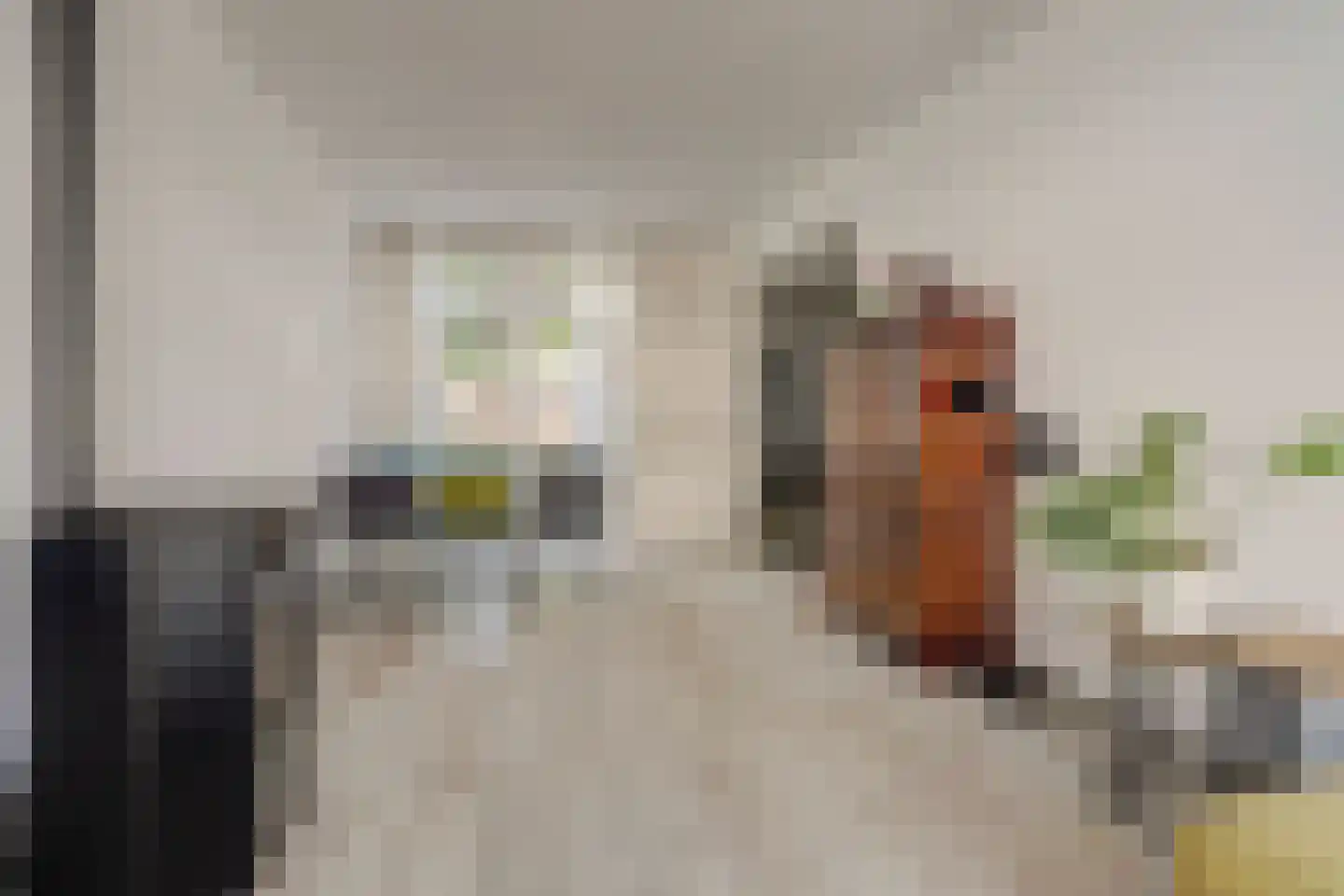Laagstraat 335 Eindhoven thumbnail 12