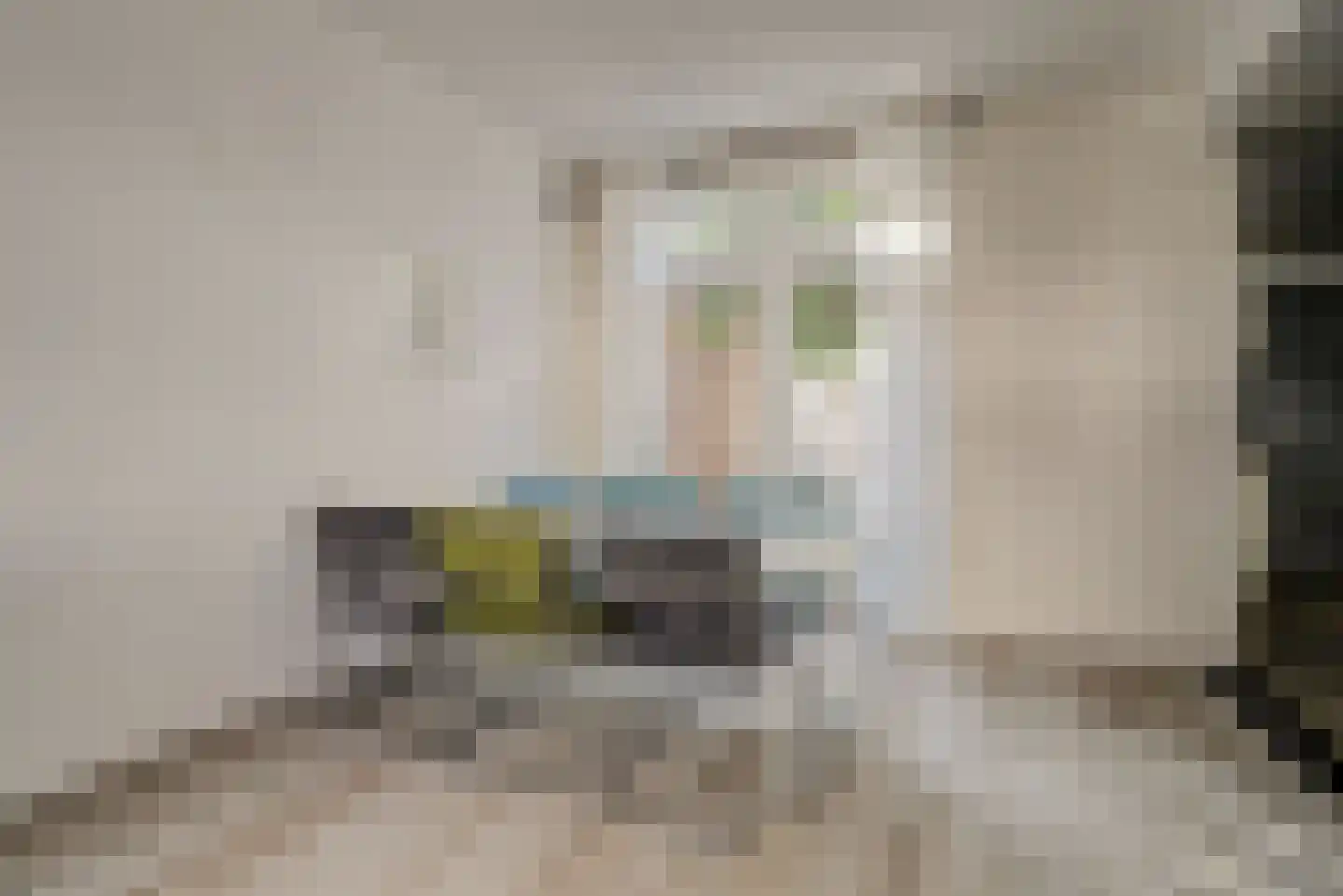 Laagstraat 335 Eindhoven thumbnail 14