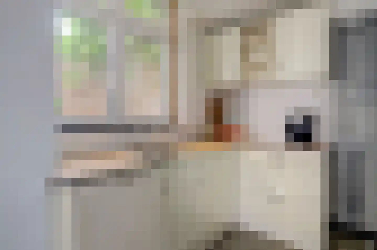 Laagstraat 335 Eindhoven thumbnail 19