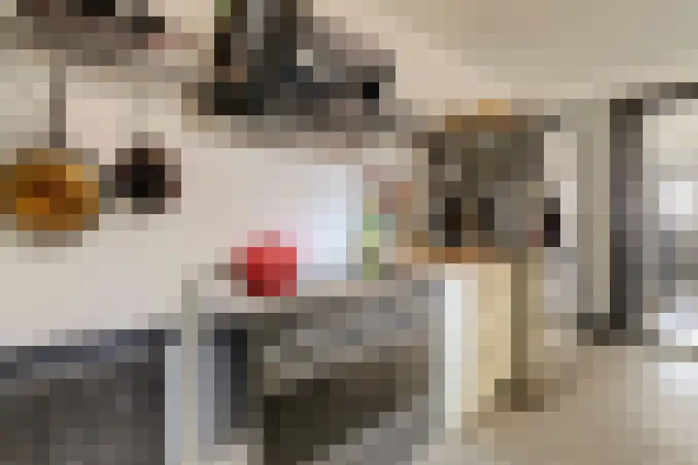 Laagstraat 335 Eindhoven thumbnail 20