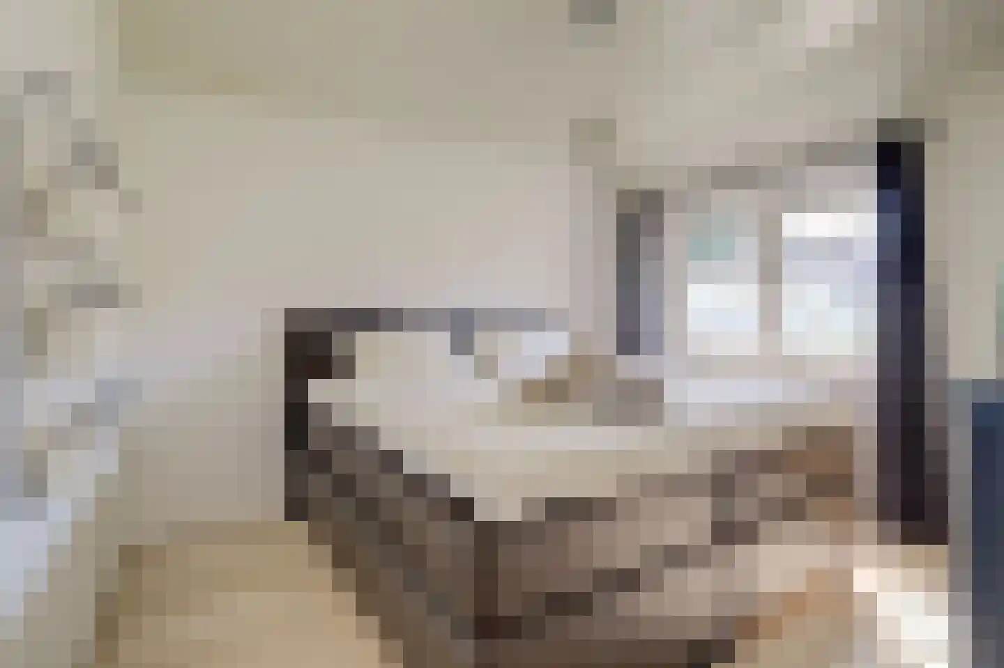 Laagstraat 335 Eindhoven thumbnail 24