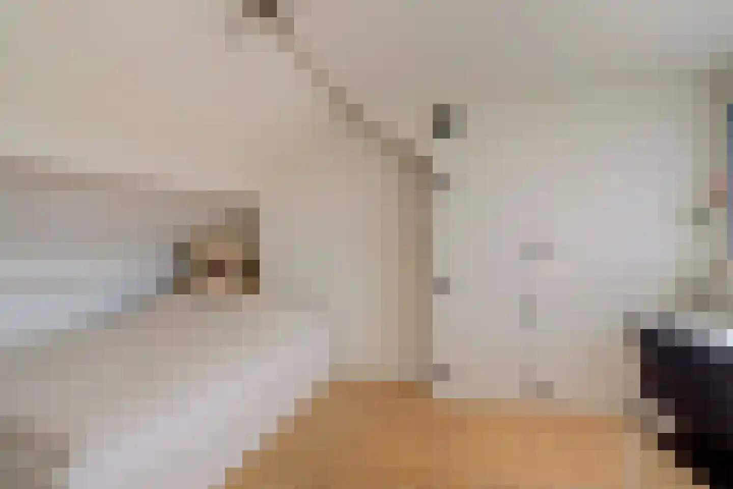 Laagstraat 335 Eindhoven thumbnail 33