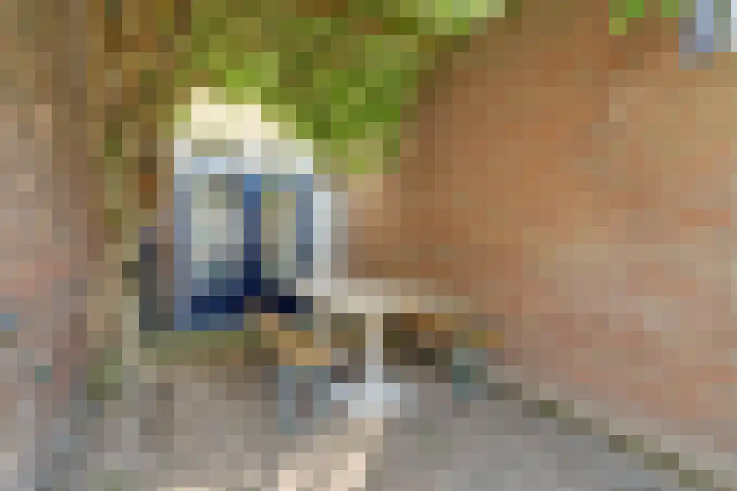 Laagstraat 335 Eindhoven thumbnail 36