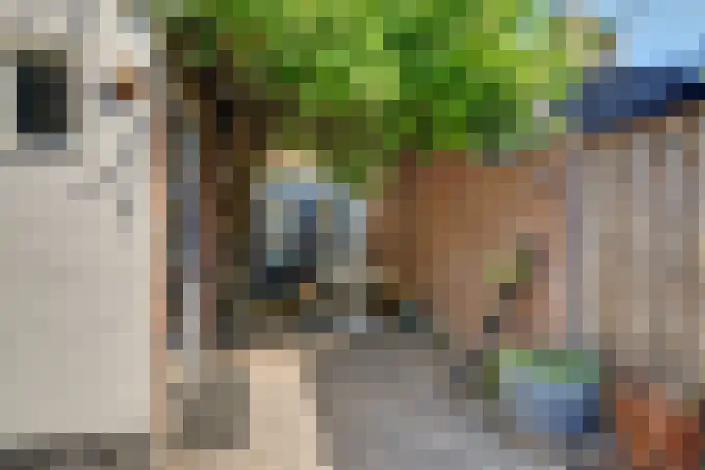 Laagstraat 335 Eindhoven thumbnail 39