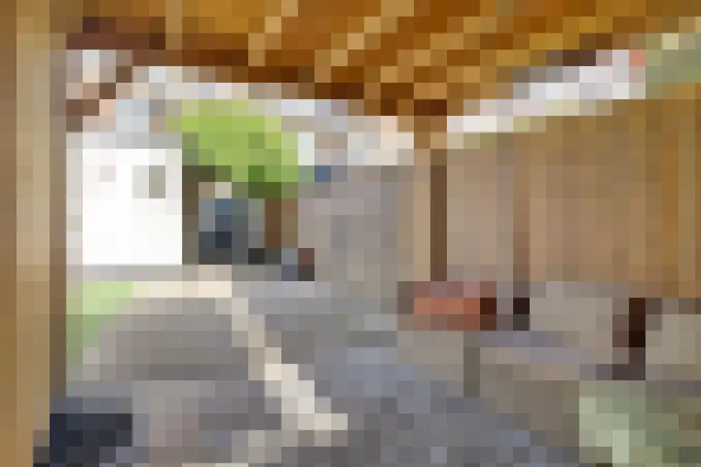 Laagstraat 335 Eindhoven thumbnail 41