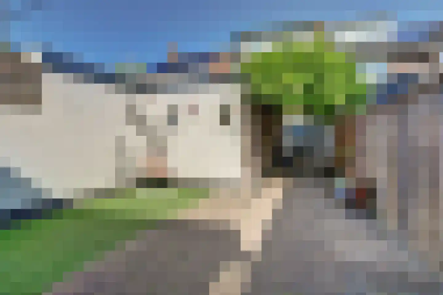 Laagstraat 335 Eindhoven thumbnail 5