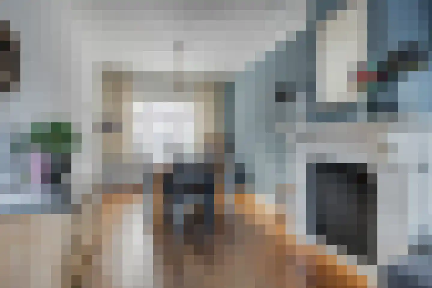 Laagstraat 346 Eindhoven thumbnail 12