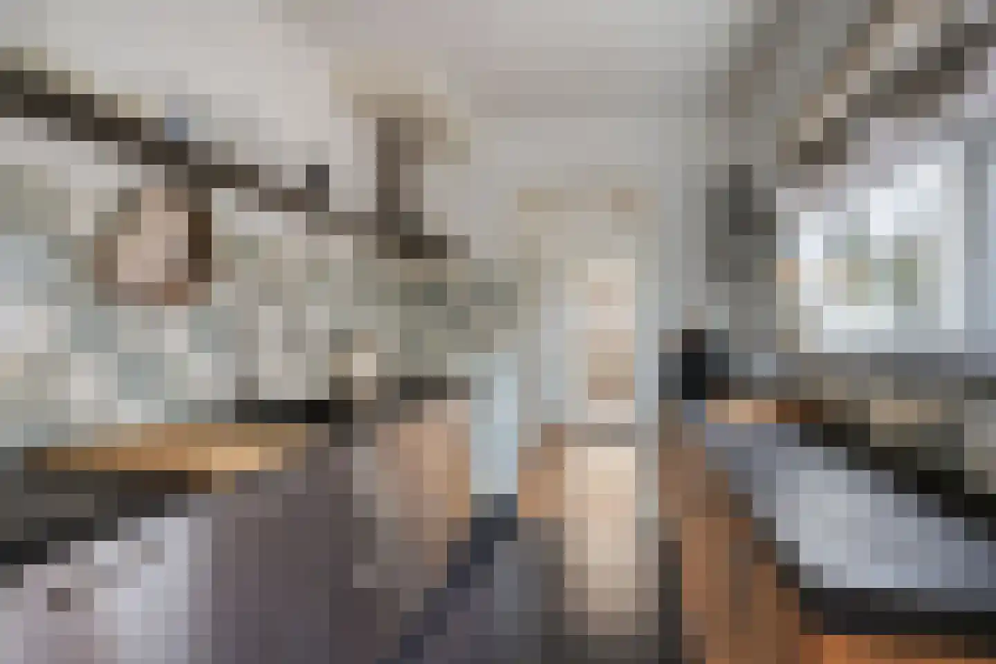 Laagstraat 346 Eindhoven thumbnail 15