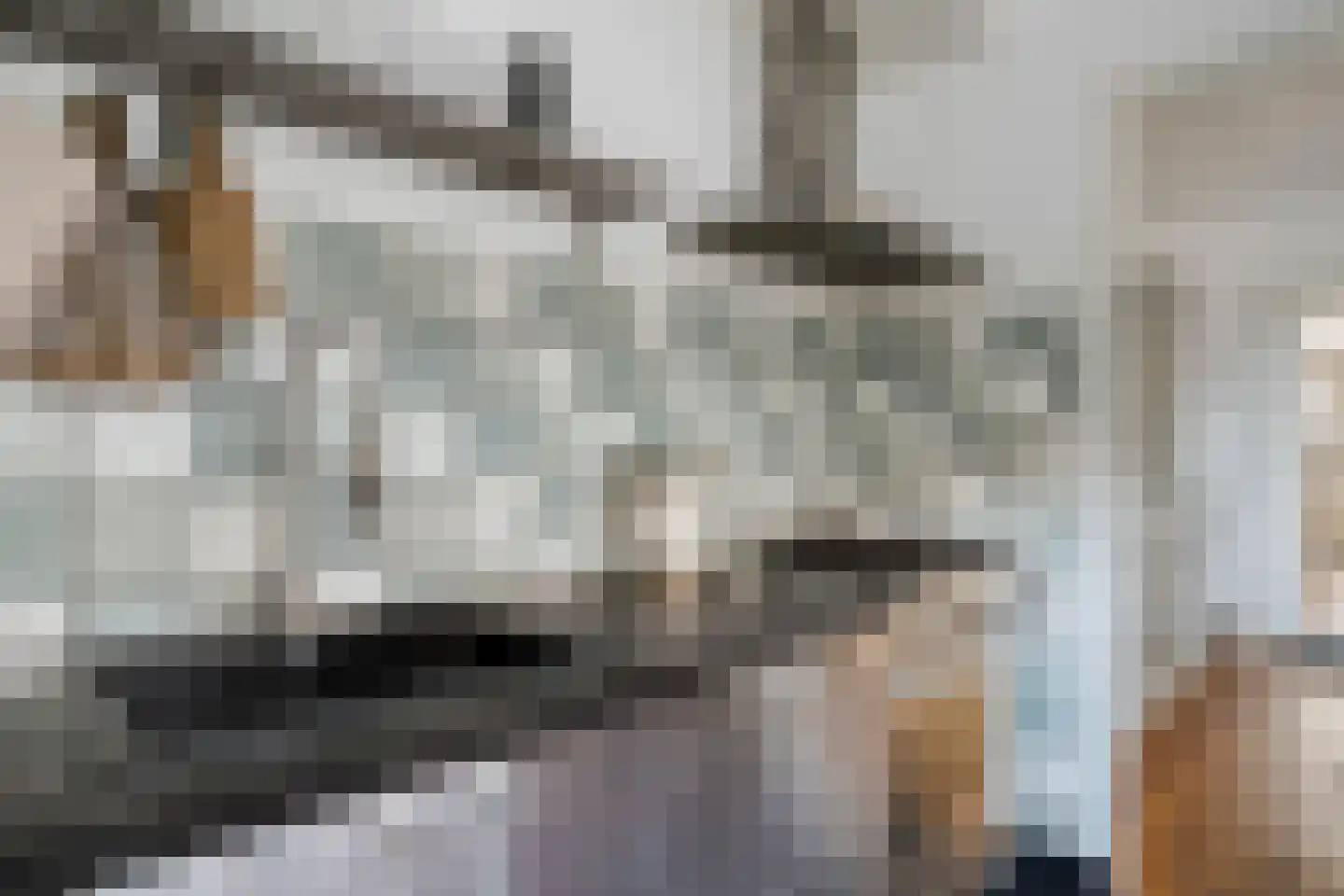 Laagstraat 346 Eindhoven thumbnail 16
