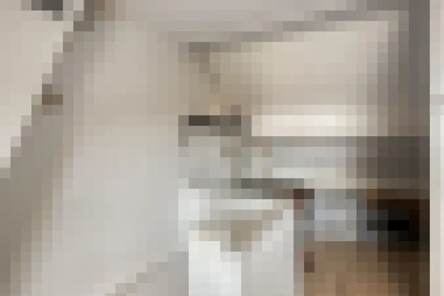 Laagstraat 346 Eindhoven thumbnail 18