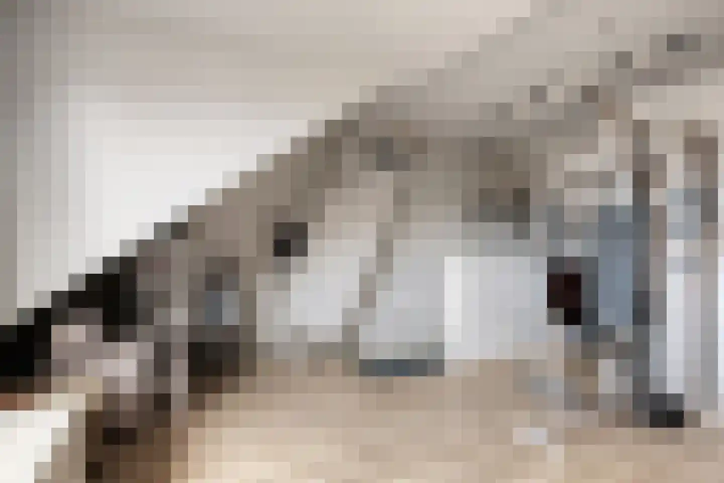 Laagstraat 346 Eindhoven thumbnail 19