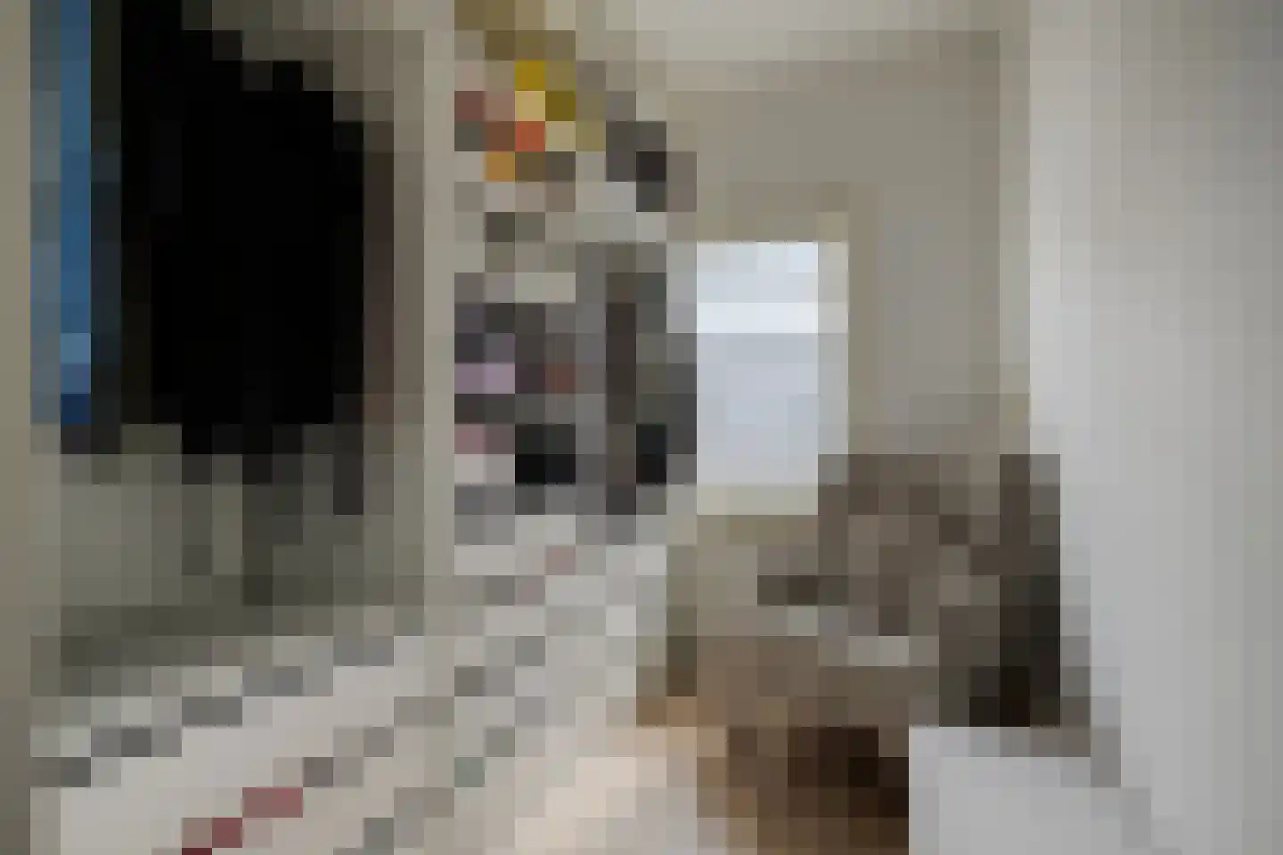 Laagstraat 346 Eindhoven thumbnail 22