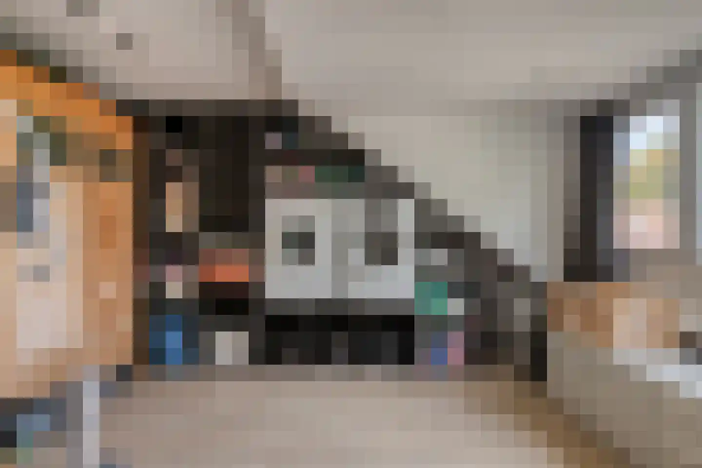 Laagstraat 346 Eindhoven thumbnail 23