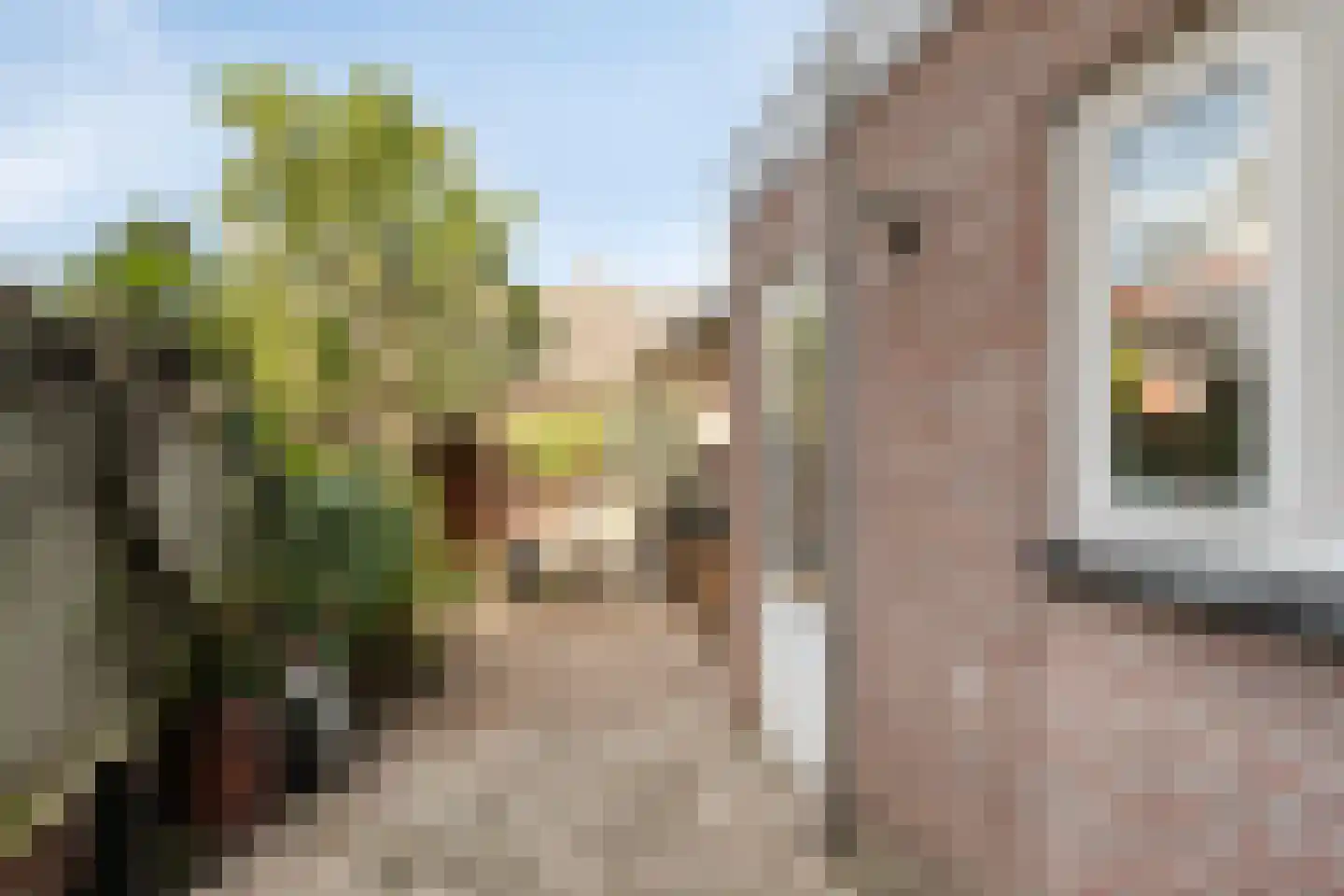 Laagstraat 346 Eindhoven thumbnail 25